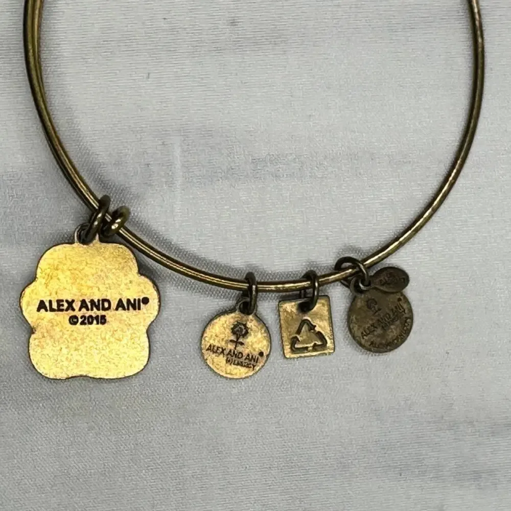 alex and an alex ani